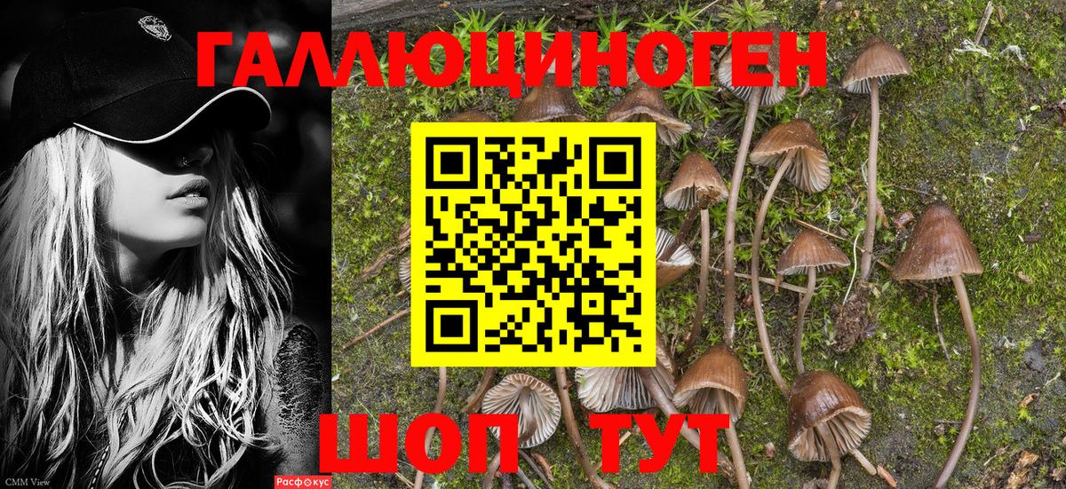 Сальск  Псилоцибиновые грибы прущие грибы  Галлюциногенные грибы мухоморы  Вход с VPN 
