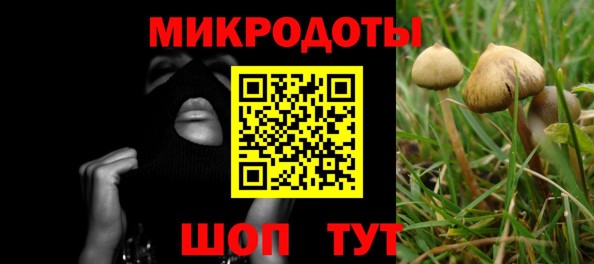 Галлюциногенные грибы MAGIC MUSHROOMS Сальск
