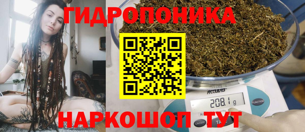 Марихуана сатива  Марихуана гибрид  Сальск  Вход с VPN  Марихуана LSD WEED 